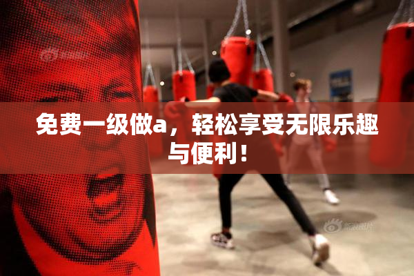 免费一级做a，轻松享受无限乐趣与便利！