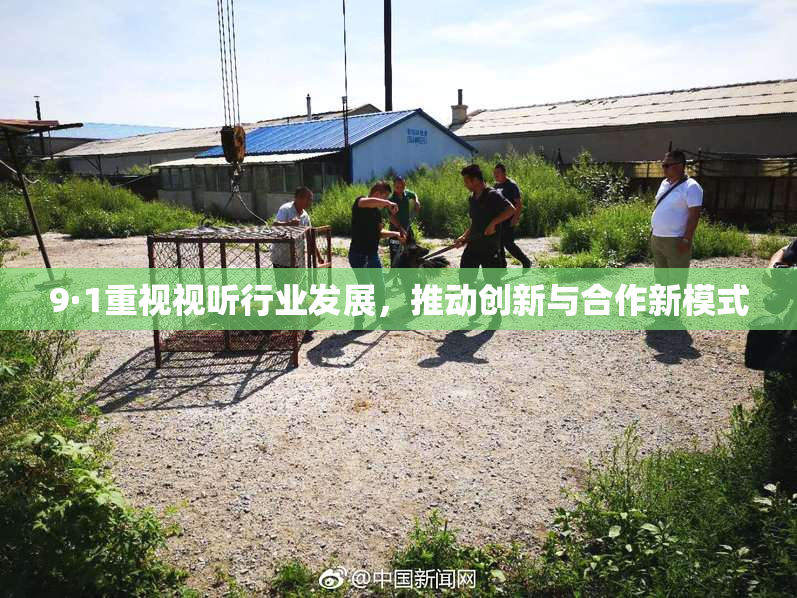 9·1重视视听行业发展，推动创新与合作新模式