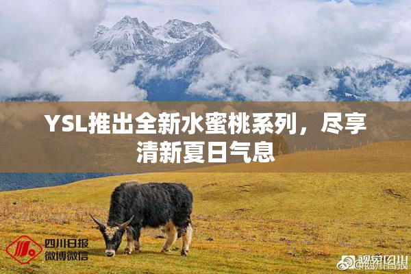 YSL推出全新水蜜桃系列，尽享清新夏日气息
