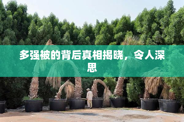 多强被的背后真相揭晓，令人深思