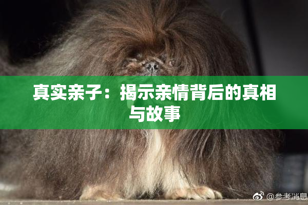 真实亲子：揭示亲情背后的真相与故事