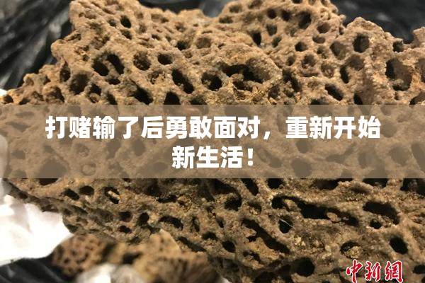 打赌输了后勇敢面对，重新开始新生活！