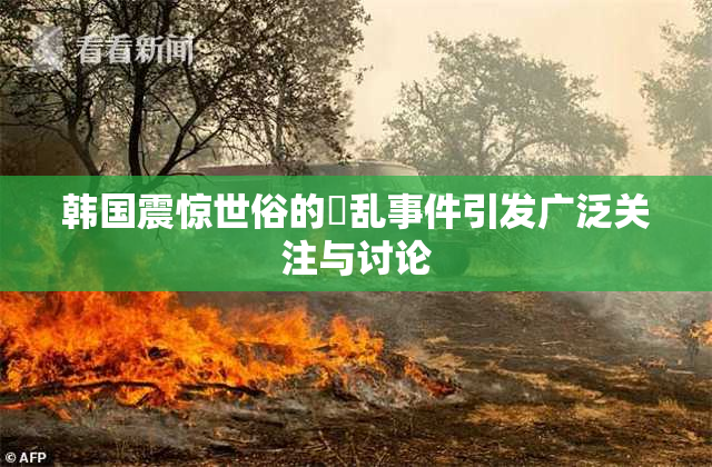 韩国震惊世俗的婬乱事件引发广泛关注与讨论