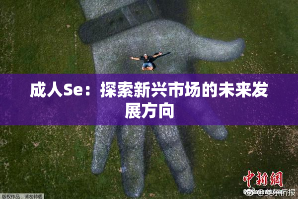 成人Se：探索新兴市场的未来发展方向