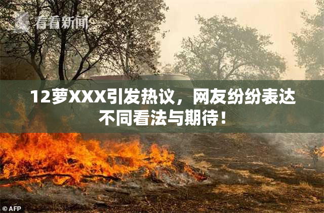 12萝XXX引发热议，网友纷纷表达不同看法与期待！