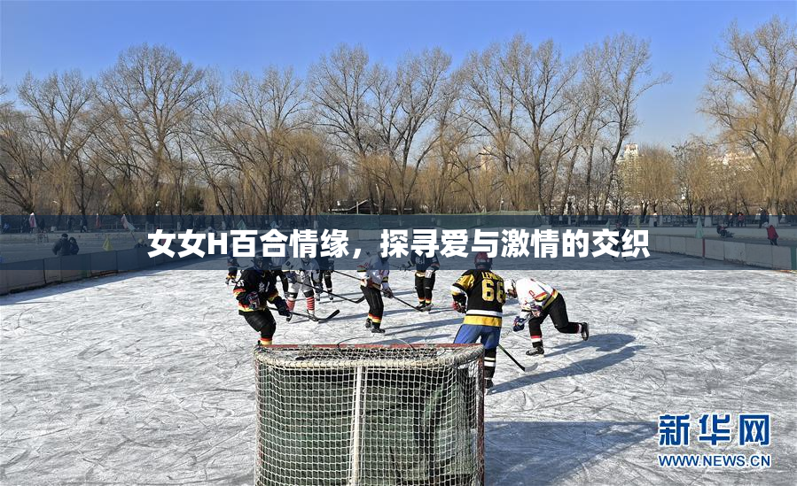 女女H百合情缘，探寻爱与激情的交织
