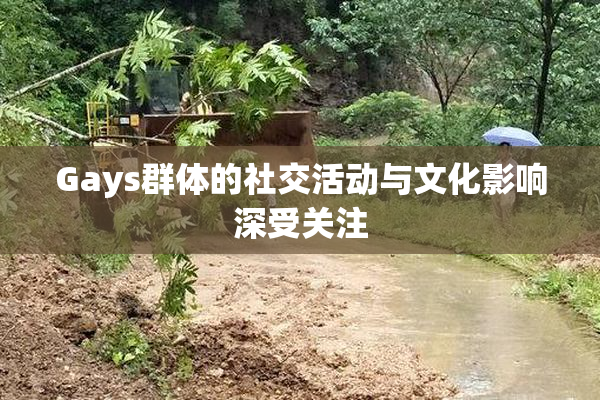Gays群体的社交活动与文化影响深受关注