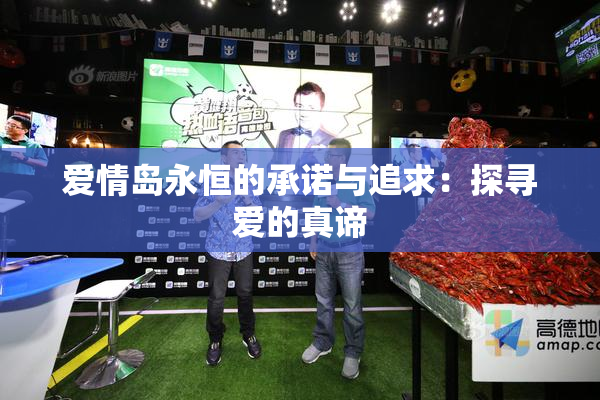 爱情岛永恒的承诺与追求：探寻爱的真谛