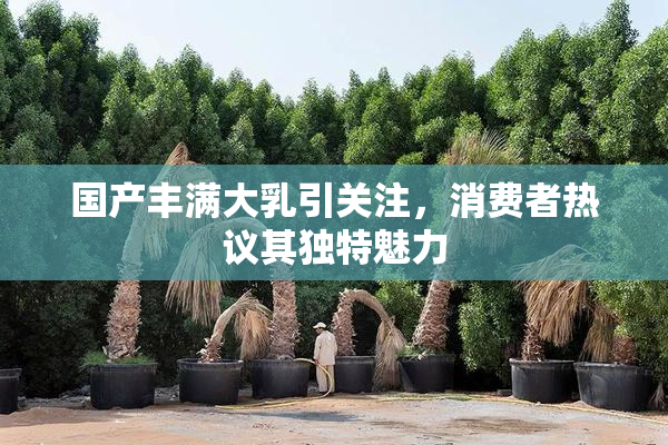 国产丰满大乳引关注，消费者热议其独特魅力