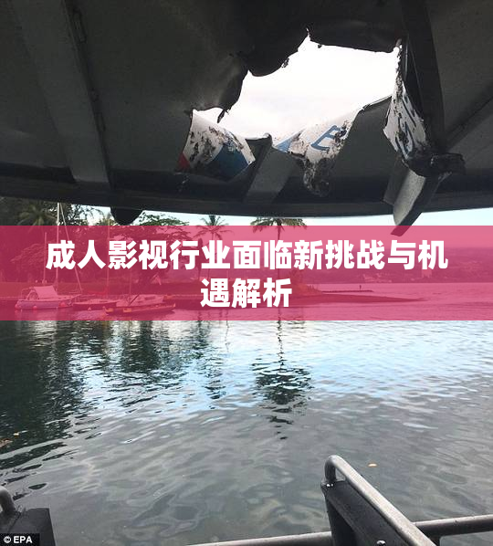 成人影视行业面临新挑战与机遇解析