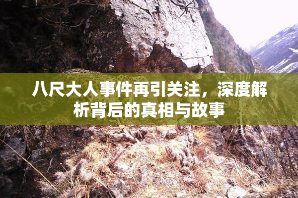 八尺大人事件再引关注，深度解析背后的真相与故事