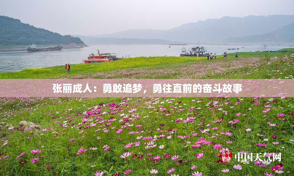 张丽成人：勇敢追梦，勇往直前的奋斗故事