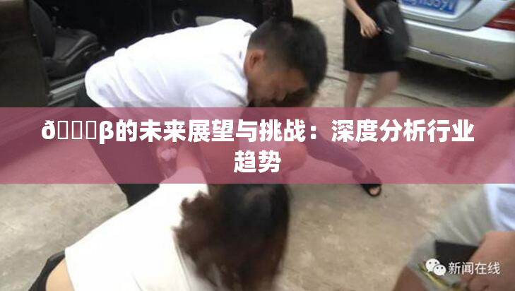 🔞β的未来展望与挑战：深度分析行业趋势