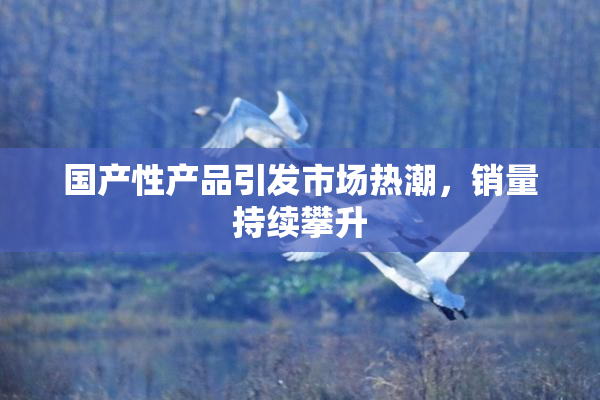 国产性产品引发市场热潮，销量持续攀升