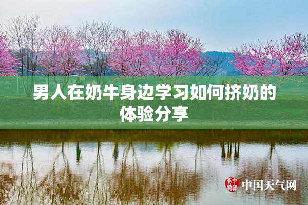 男人在奶牛身边学习如何挤奶的体验分享