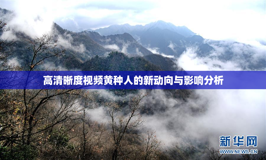 高清晰度视频黄种人的新动向与影响分析