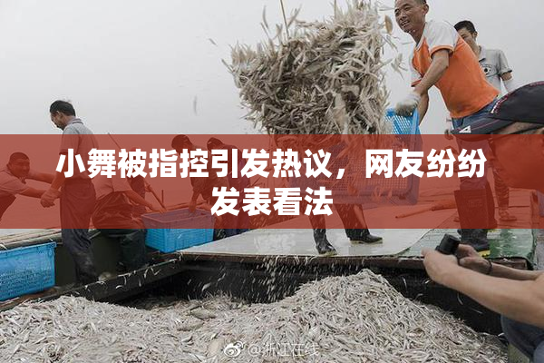 小舞被指控引发热议，网友纷纷发表看法