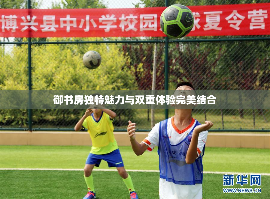 御书房独特魅力与双重体验完美结合