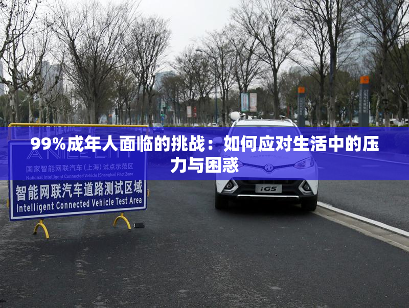99%成年人面临的挑战：如何应对生活中的压力与困惑