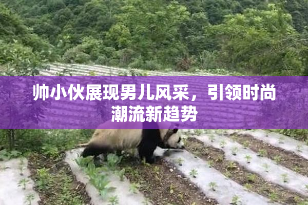 帅小伙展现男儿风采，引领时尚潮流新趋势