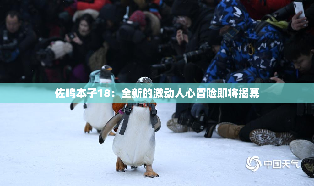 佐鸣本子18：全新的激动人心冒险即将揭幕