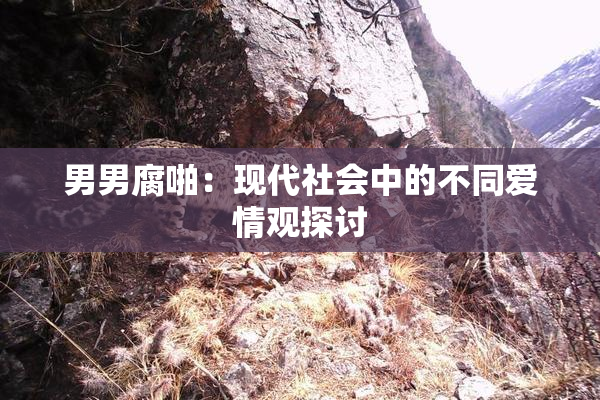 男男腐啪：现代社会中的不同爱情观探讨