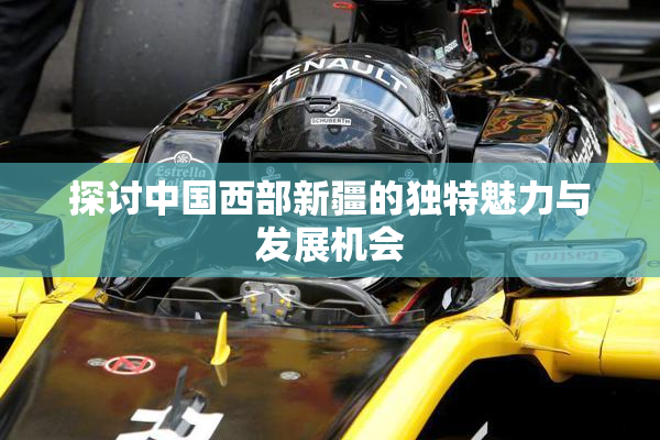 探讨中国西部新疆的独特魅力与发展机会