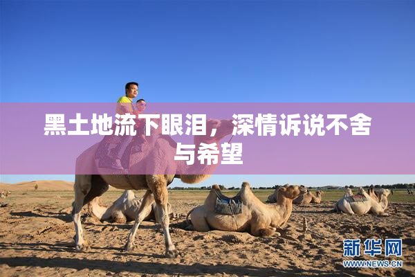 黑土地流下眼泪，深情诉说不舍与希望