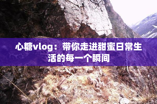 心糖vlog：带你走进甜蜜日常生活的每一个瞬间