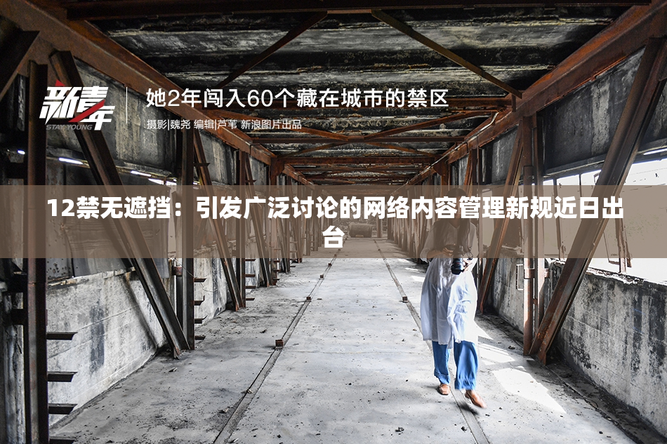 12禁无遮挡：引发广泛讨论的网络内容管理新规近日出台