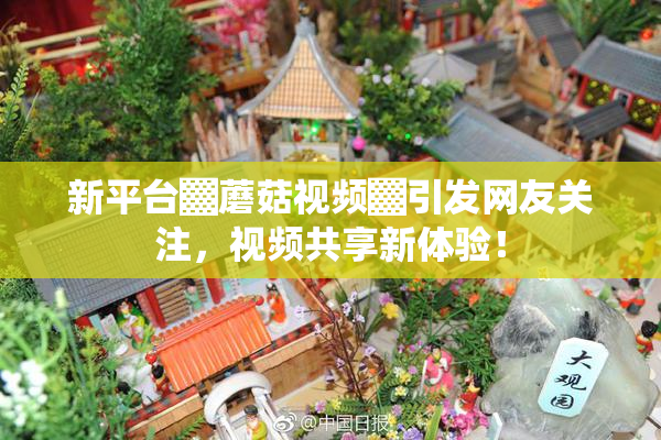 新平台▓蘑菇视频▓引发网友关注，视频共享新体验！