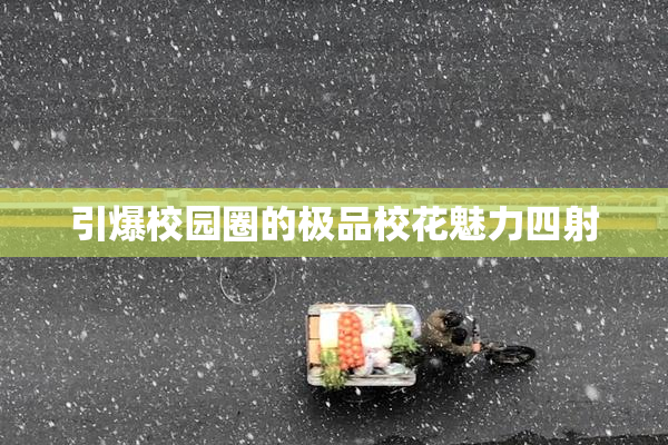 引爆校园圈的极品校花魅力四射