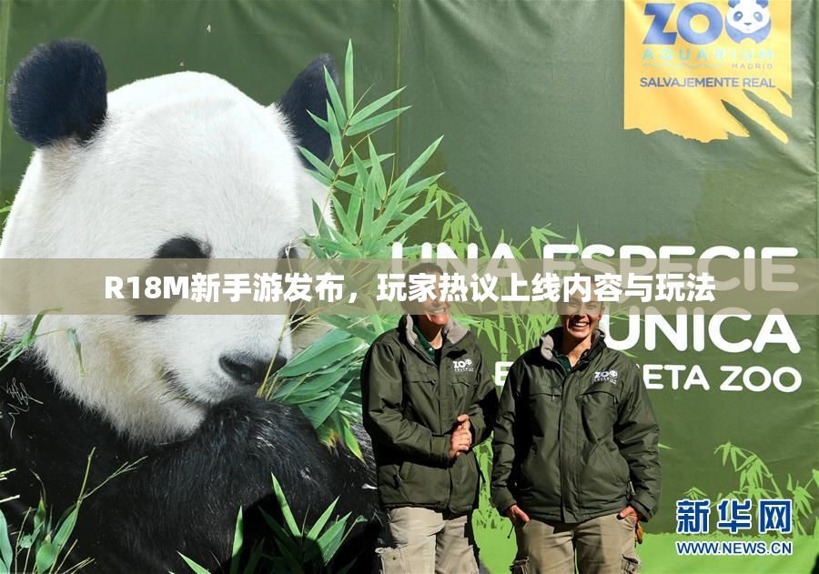 R18M新手游发布，玩家热议上线内容与玩法