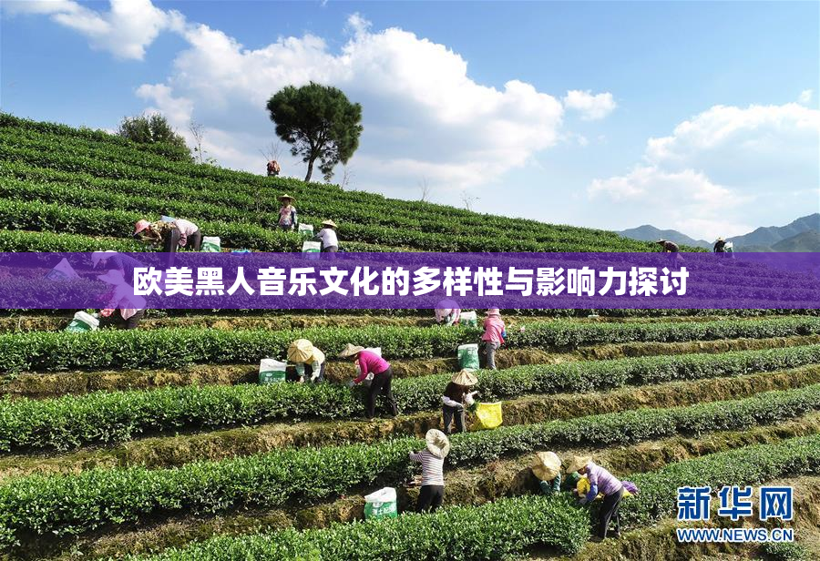 欧美黑人音乐文化的多样性与影响力探讨