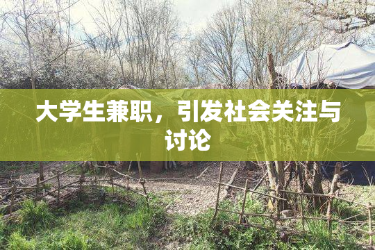 大学生兼职，引发社会关注与讨论
