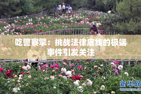 吃警察擎：挑战法律底线的极端事件引发关注
