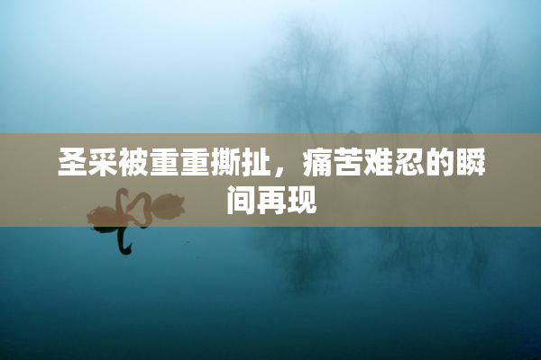 圣采被重重撕扯，痛苦难忍的瞬间再现