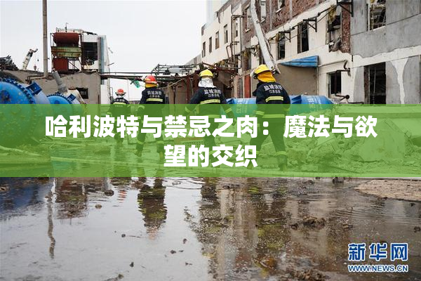 哈利波特与禁忌之肉：魔法与欲望的交织