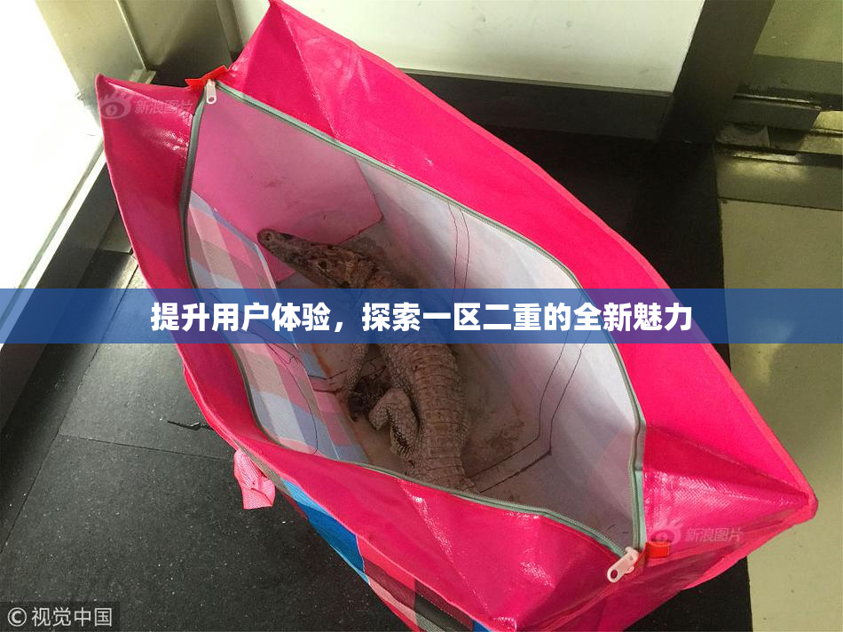 提升用户体验，探索一区二重的全新魅力