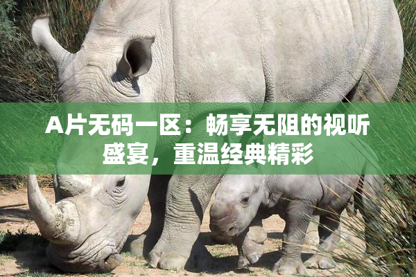 A片无码一区：畅享无阻的视听盛宴，重温经典精彩