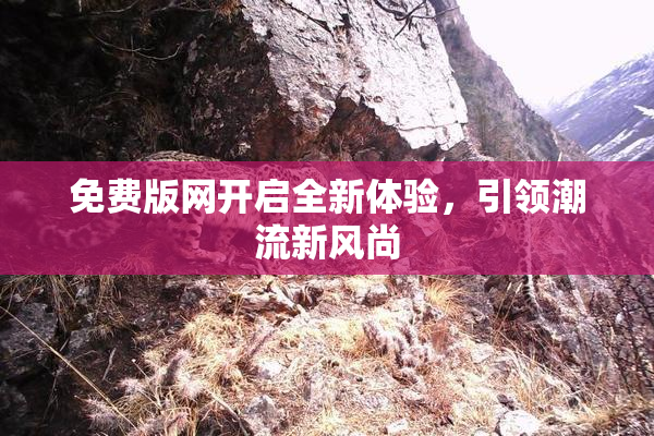 免费版网开启全新体验，引领潮流新风尚