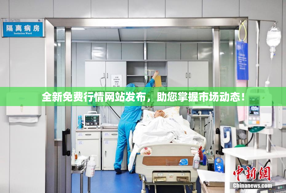 全新免费行情网站发布，助您掌握市场动态！