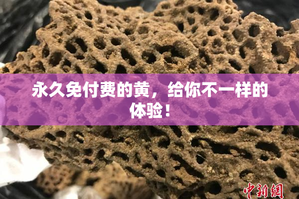 永久免付费的黄，给你不一样的体验！