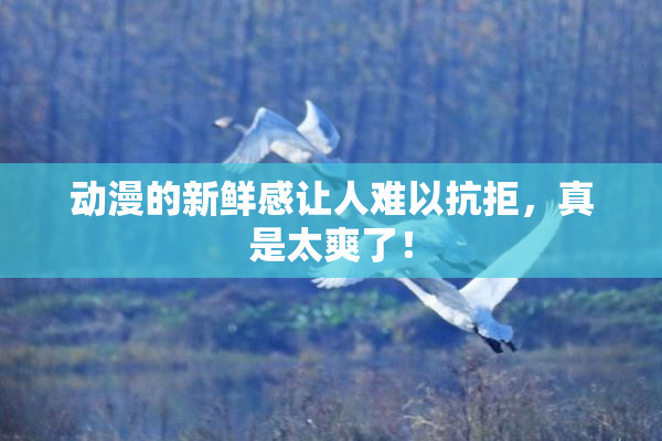 动漫的新鲜感让人难以抗拒，真是太爽了！