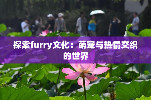 探索furry文化：萌宠与热情交织的世界