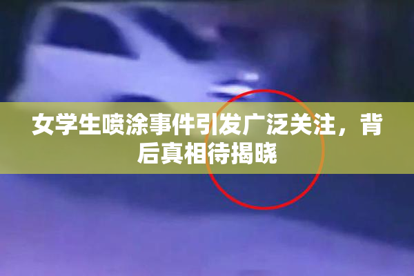 女学生喷涂事件引发广泛关注，背后真相待揭晓
