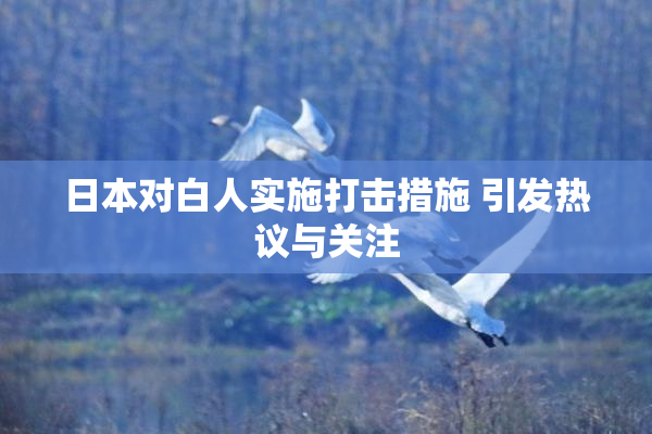 日本对白人实施打击措施 引发热议与关注