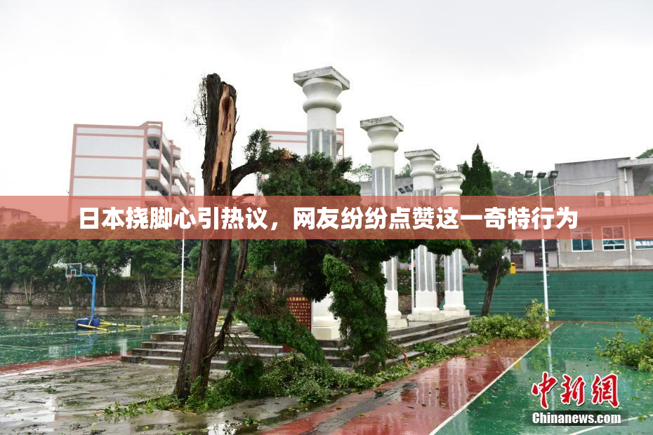 日本挠脚心引热议，网友纷纷点赞这一奇特行为
