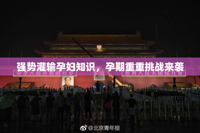 强势灌输孕妇知识，孕期重重挑战来袭