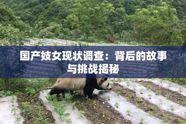 国产妓女现状调查：背后的故事与挑战揭秘